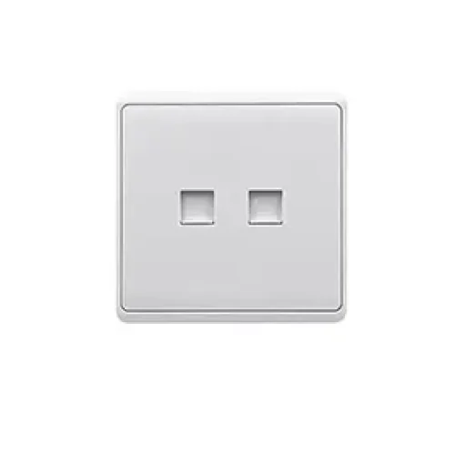 NETWORK SURFACE PLATE- 2 GANG